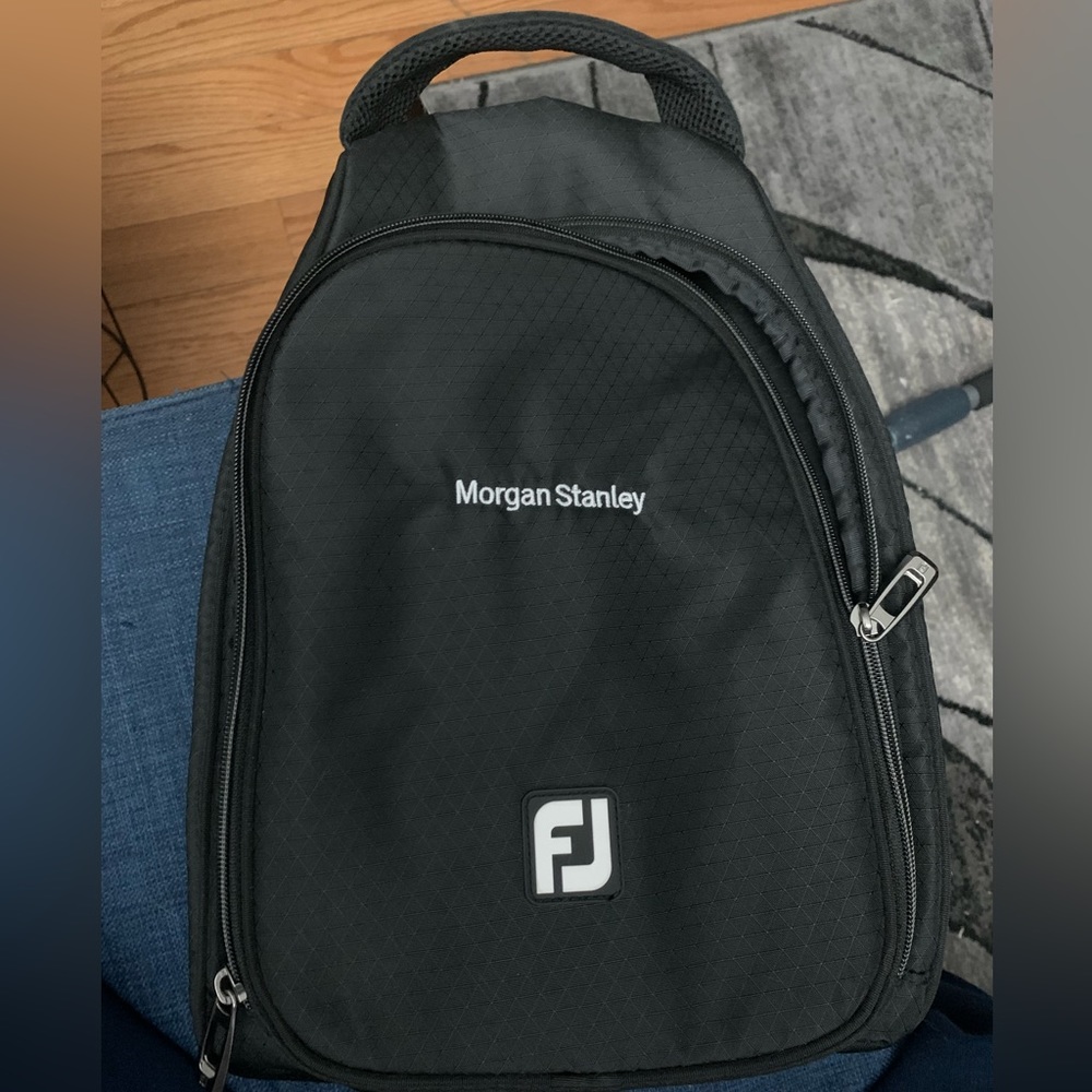 Travel shoe bag